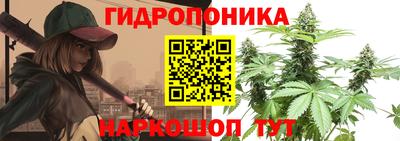 2c-b Ачхой-Мартан
