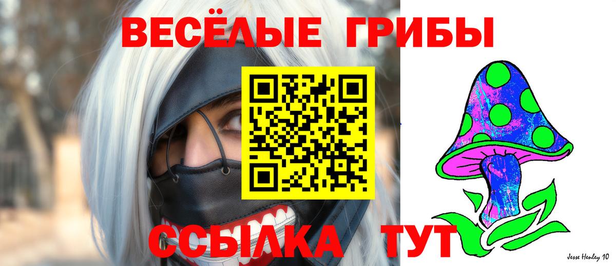 Анжеро-Судженск  продажа наркотиков  Вход с VPN  Псилоцибиновые грибы мицелий 
